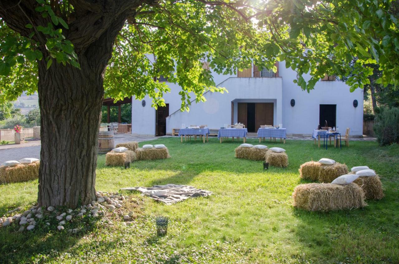 Azzurro Holiday home Osimo