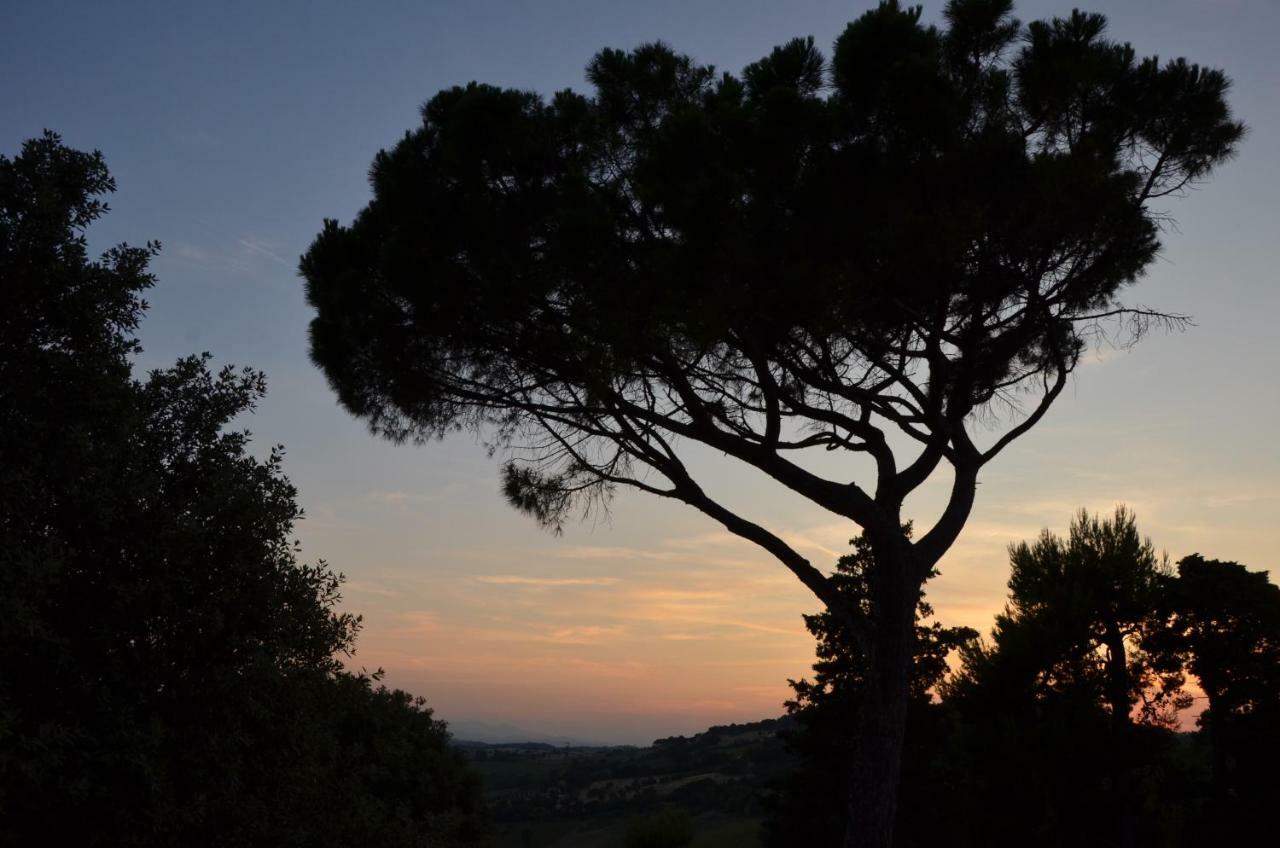 Azzurro Holiday home *