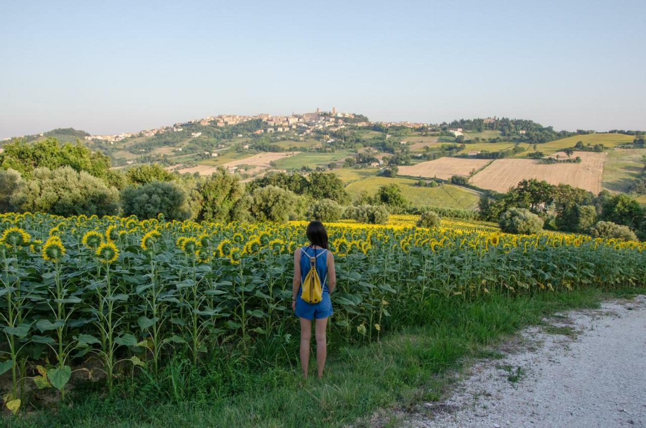 Azzurro Holiday home Osimo