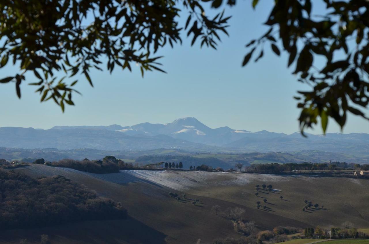 Azzurro * Osimo
