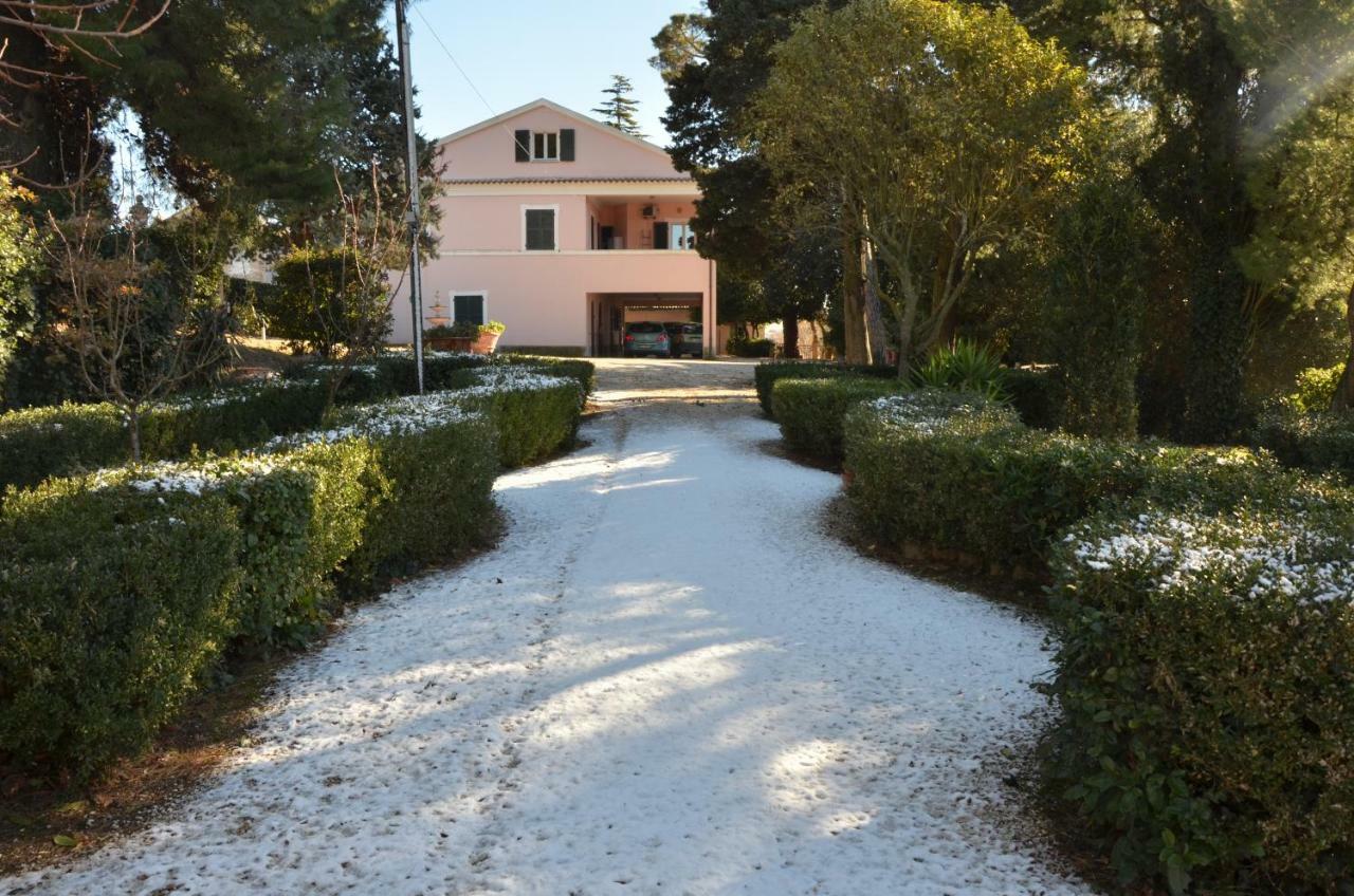 Azzurro Holiday home Osimo